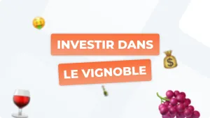 Investir dans le vignoble : un guide complet pour se lancer avec succès